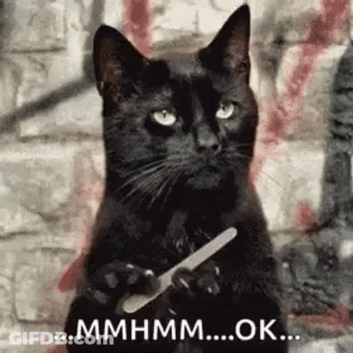 Mmhmm Sassy Cat GIF