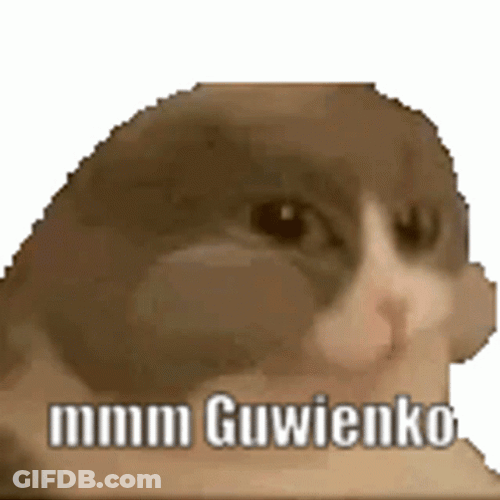 Mmm Cat Chewing GIF