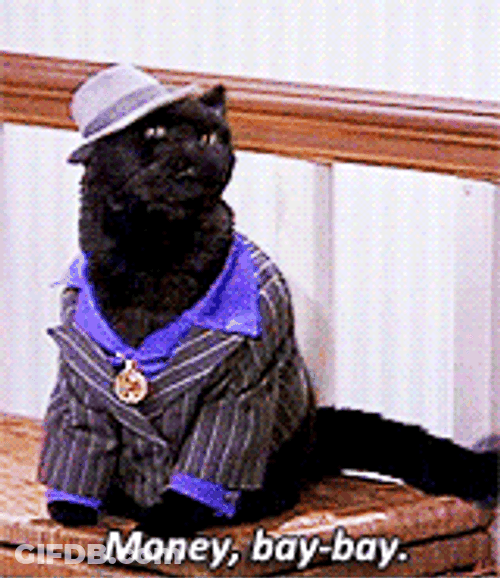 Mo Money Black Cat GIF