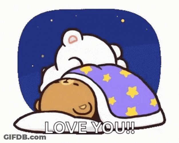 Mocha And Milk Sleeping Good Night Love You GIF