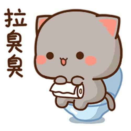 Mocha Enjoys Bathroom Time GIF