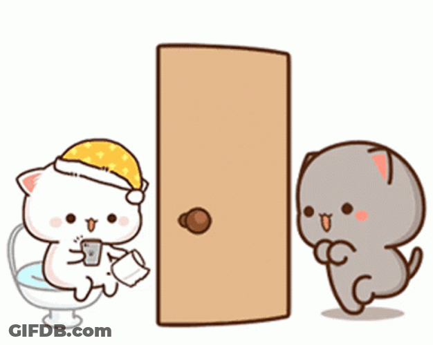 Mocha Waiting For Bathroom GIF