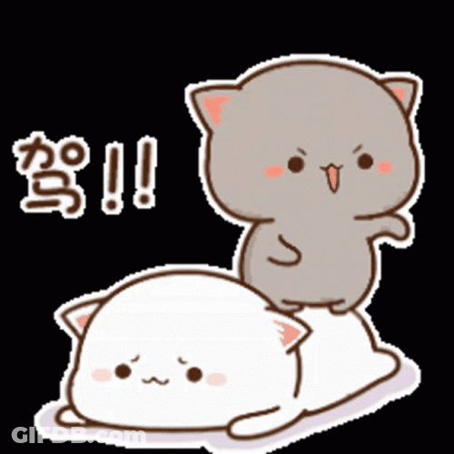 Mochi Cat Bouncing On Butt GIF
