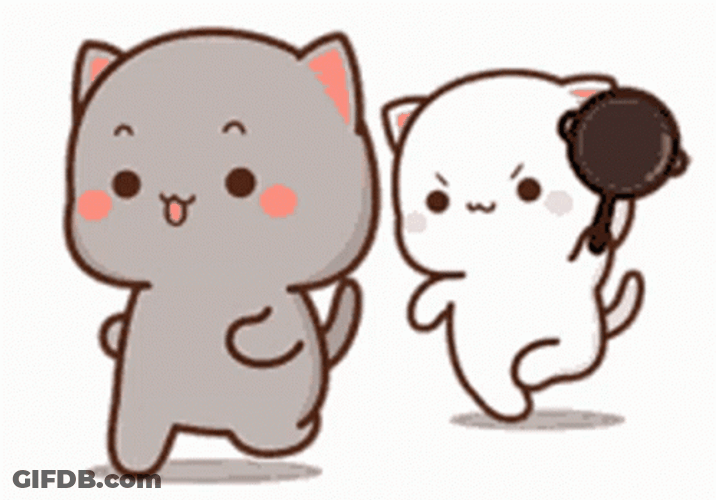 Mochi Cat Chasing With Pan GIF