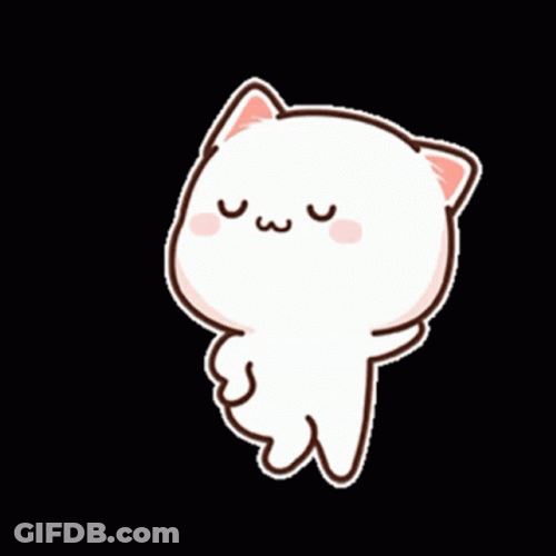Mochi Cat Confident Look GIF