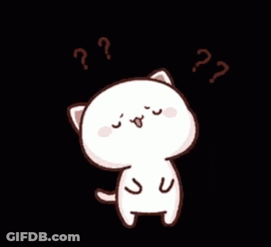 Mochi Cat Confused GIF