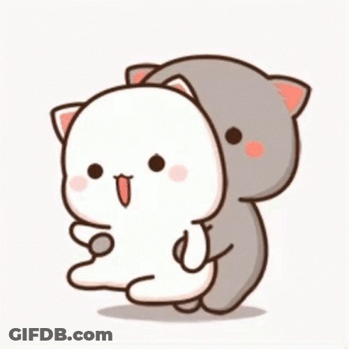 Mochi Cat Getting Spun Around GIF