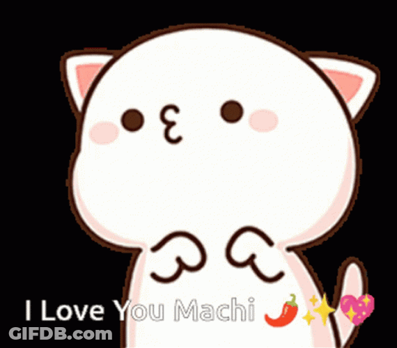 Mochi Cat I Love You Machi GIF