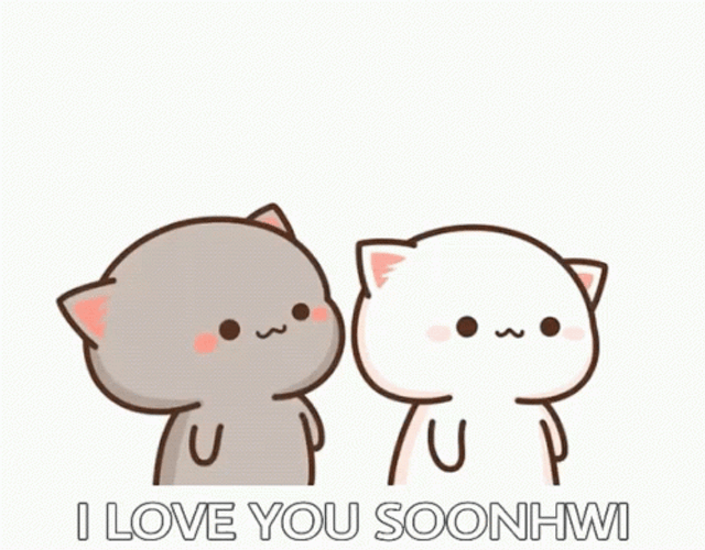 Mochi Cat I Love You Soonhwi GIF