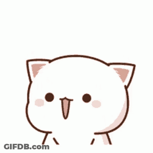 Mochi Cat Jumping Up GIF