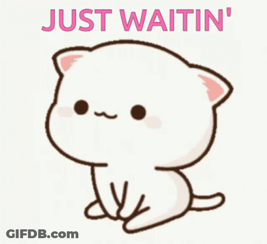 Mochi Cat Just Waitin' GIF