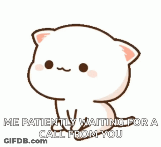 Mochi Cat Me Waiting Patiently For A Call GIF