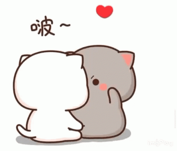 Mochi Cat Sit Ups GIF