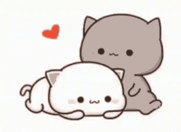 Mochi Cat Stickers Snuggling GIF