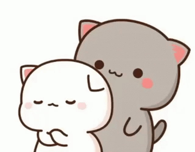 Mochi Cat Tease Its Friend GIF