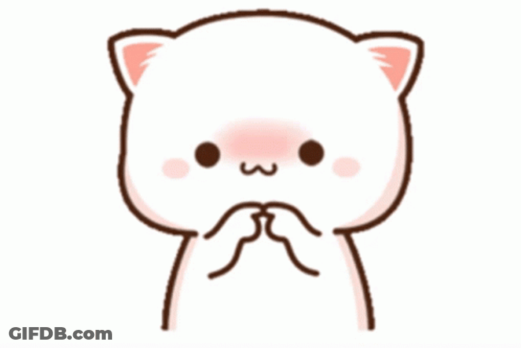 Mochi Cat Twiddling Fingers GIF