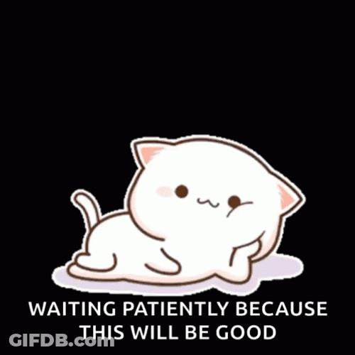 Mochi Cat Waiting Patiently GIF