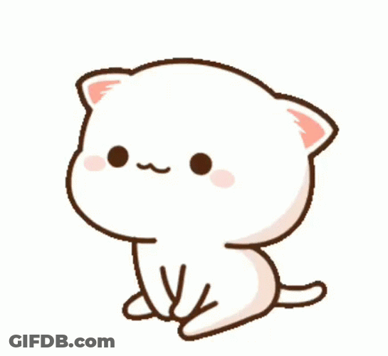 Mochi Cat Waiting Patiently GIF