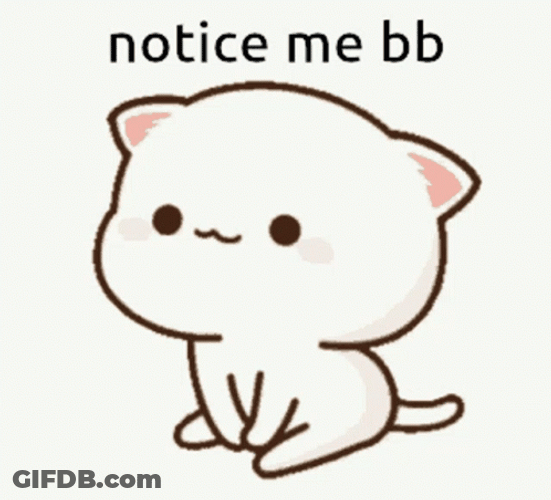 Mochi Cat Wants Attention GIF