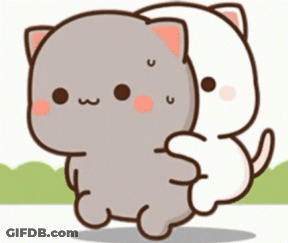 Mochi Cats Cute Piggyback GIF