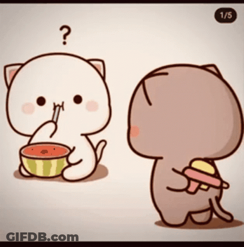 Mochi Cats Gomu Pechu Bond GIF