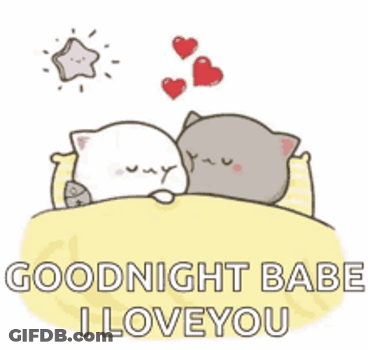 Mochi Cats Good Night Babe I Love You GIF