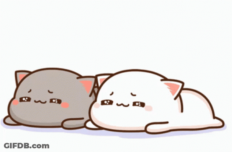 Mochi Cats Laying Down Tired GIF