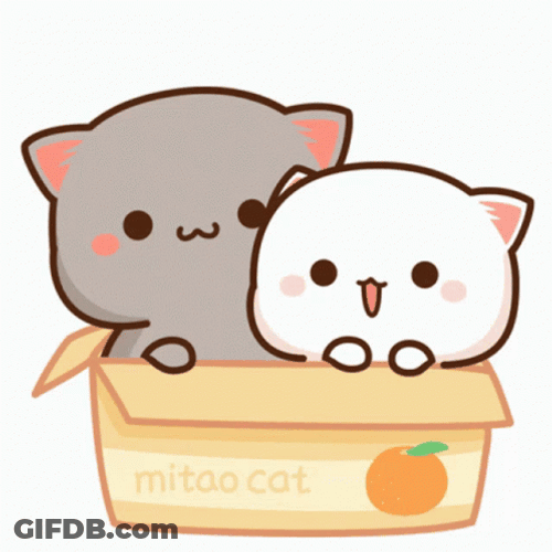 Mochi Cats Swaying In A Box GIF