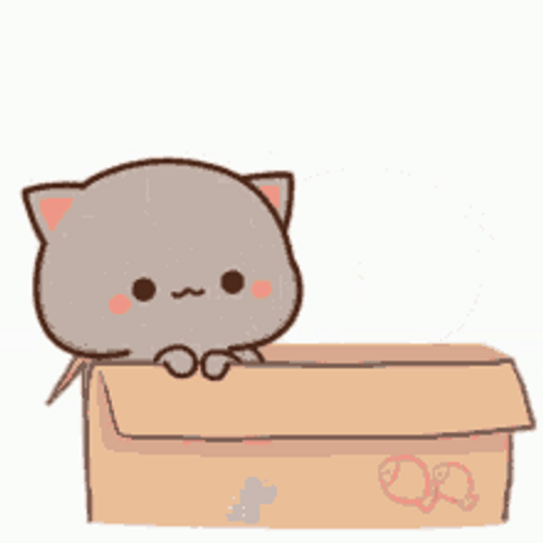 Mochi Peach And Goma Cat Rubbing Cheeks GIF