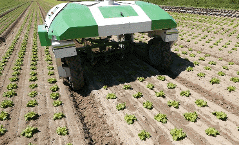 Modern Agriculture Weeding Robot GIF