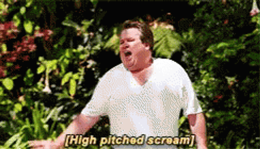 Modern Family Cam Screaming GIF