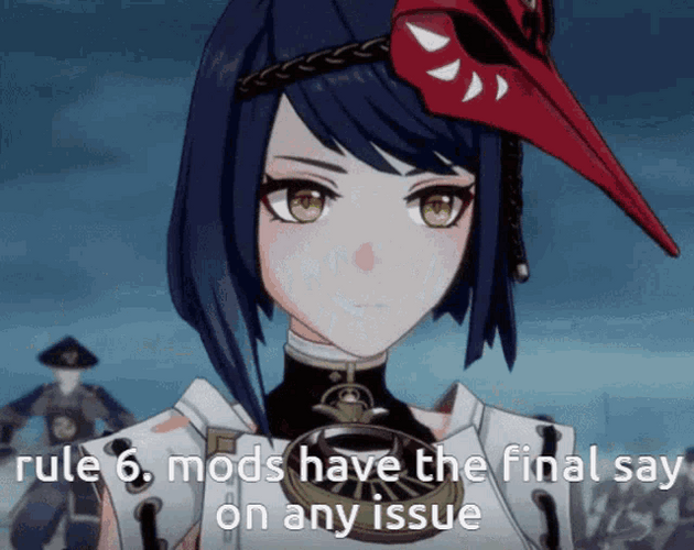 Mods Final Say GIF
