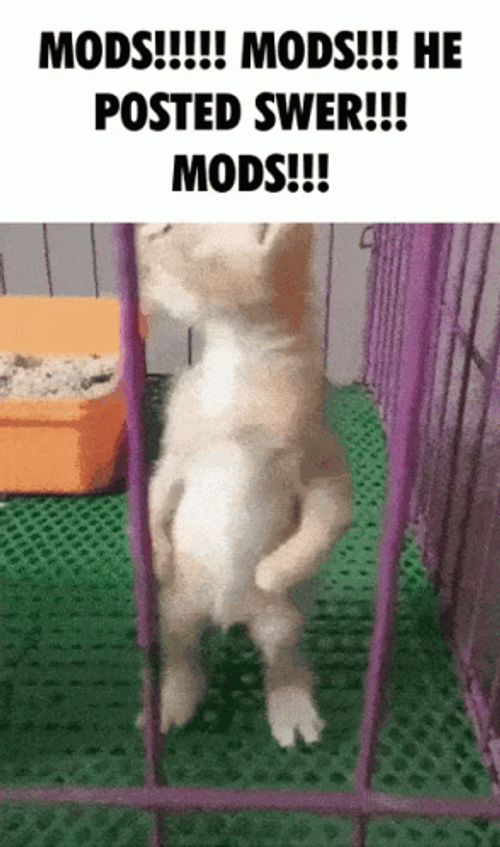 Mods He Posted GIF