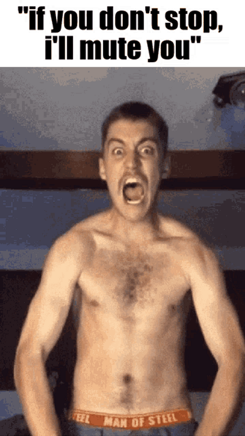 Mods I'll Mute You GIF