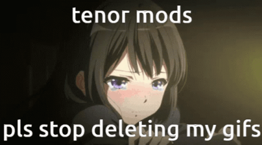 Mods Stop Deleting GIFS GIF