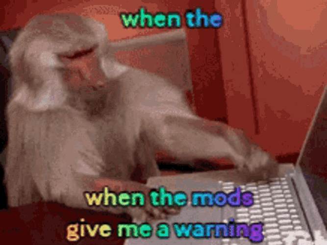 Mods Warning Angry Monkey GIF