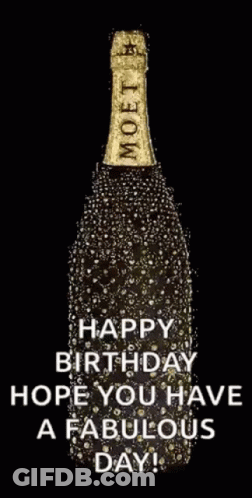 Moet Champagne Bottle With Bubbles GIF