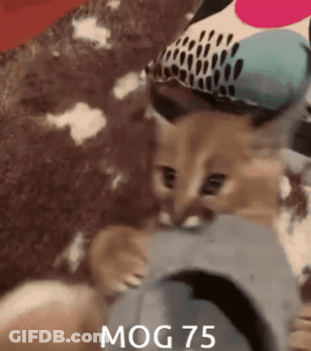 Mog75 Mogambo Khush Hua GIF