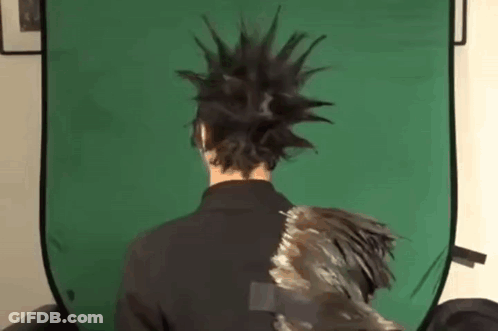 Mohawk Man With Bird On Back GIF