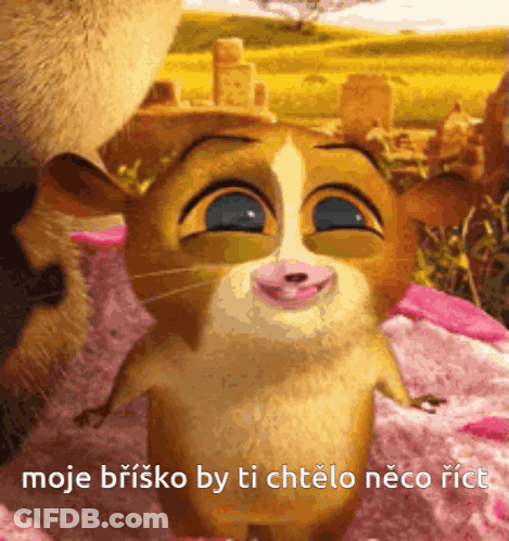 Moje Brisko Cartoon Animal GIF