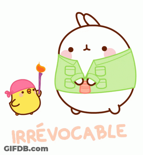 Molang And Piu Piu Irrevocable GIF