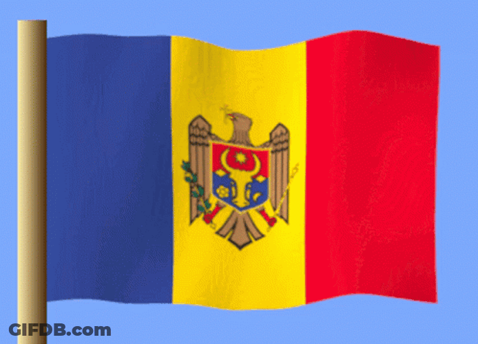 Moldova Flag Coat Of Arms GIF