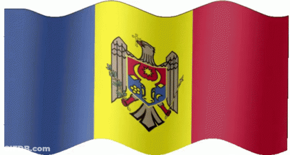 Moldova Flag Colors Coat Of Arms GIF