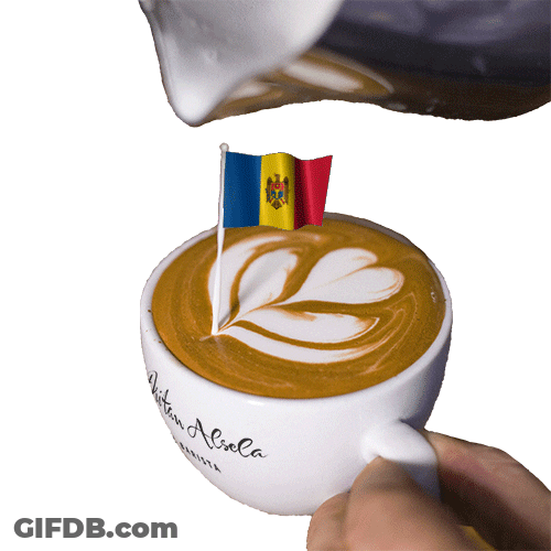 Moldova Flag Latte Art GIF