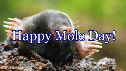Mole Happy Mole Day GIF