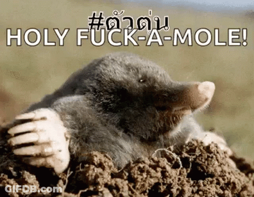 Mole In Dirt Saying Holy Fuck-A-Mole GIF