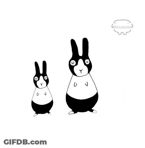 Mom And Son Rabbit Jumping Boing GIF