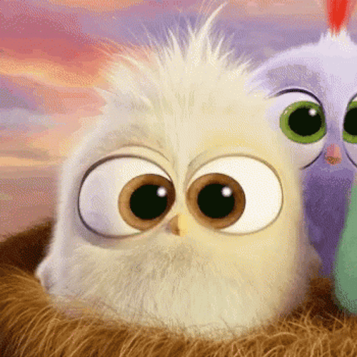 Mom Angry Bird Baby GIF