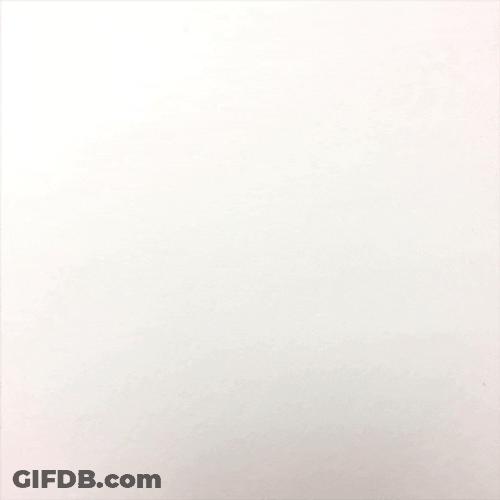 Mom Love Fish Crackers GIF