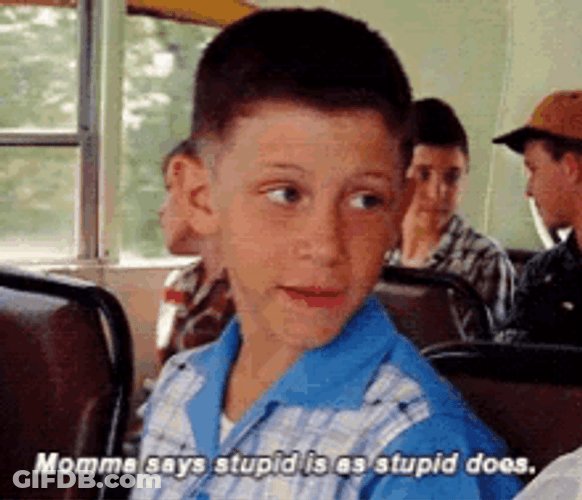 Momma Says Stupid Is As Stupid Does GIF